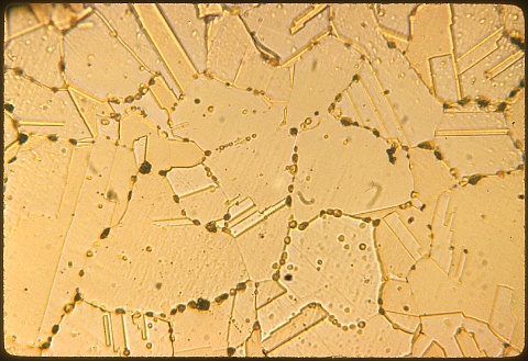 Hydrogen annealed tough pitch copper at 500X etched