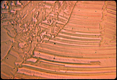 Electrodeposited copper at 1000X