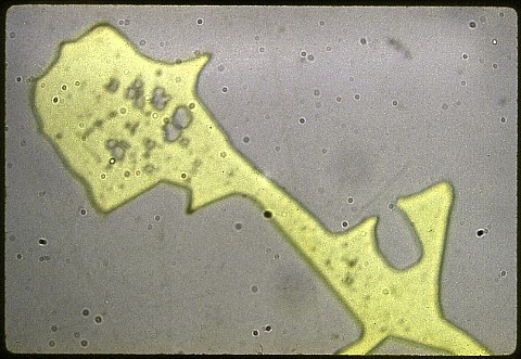 50%Cu, 30%Zn, 10%Fe, 5%Ni, & 2%Sn at 1000X etched