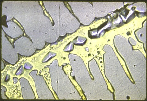 50%Cu, 30%Zn, 10%Fe, 5%Ni, & 2%Sn at 500X etched