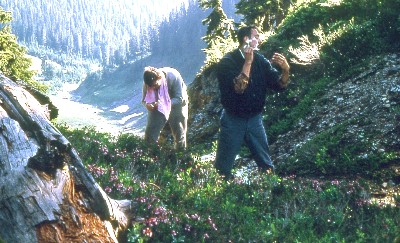 LS & MA getting spruced up North Cascades September 1968