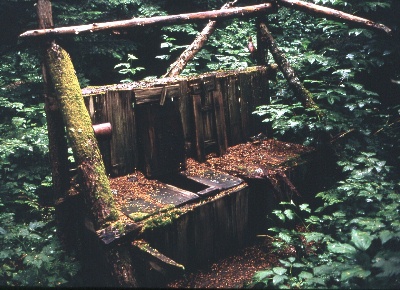 Civilization in the North Cascade woods September 1968