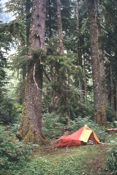 Staying dry ... still ... in the North Cascades September 1968